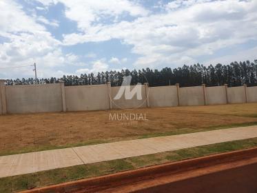 3 - Outros em Ribeirão Preto