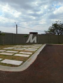 13 - Outros em Ribeirão Preto