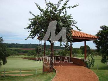 4 - Campo de Golf em Ribeirão Preto
