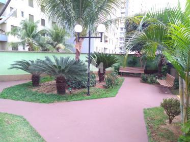5 - Outros em Ribeirão Preto
